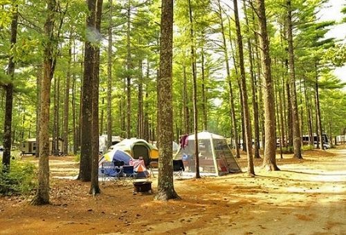 Gateway To Cape Cod Rv Resort Rochester Εξωτερικό φωτογραφία